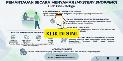 int mystery shopping