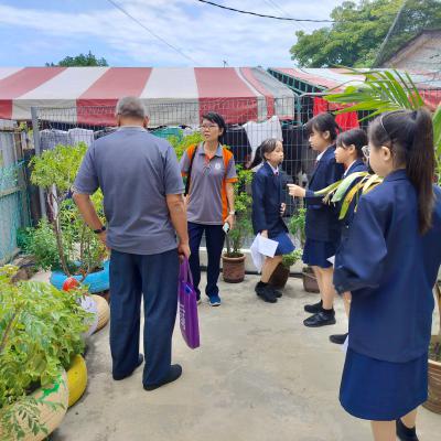 Penilaian Anugerah Sekolah Hijau 2024 Sjkc Yok Eng 5