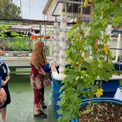 Penilaian Anugerah Sekolah Hijau 2024 Sjkc Mak Mandin 2
