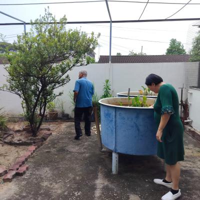 Penilaian Anugerah Sekolah Hijau 2024 Sjkc Chung Hwa 3 1