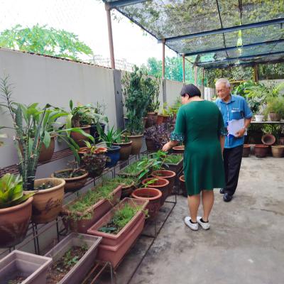 Penilaian Anugerah Sekolah Hijau 2024 Sjkc Chung Hwa 3 2