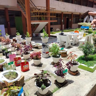 Penilaian Anugerah Sekolah Hijau 2024 Smk Bakti 4