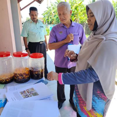 Penilaian Anugerah Sekolah Hijau 2024 Dato Haji Abdul Kadir 3
