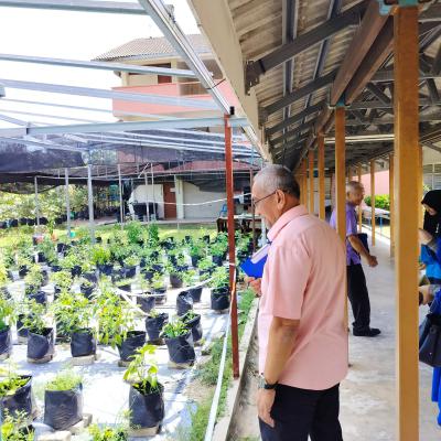 Penilaian Anugerah Sekolah Hijau 2024 Smk Kampung Selamat 7