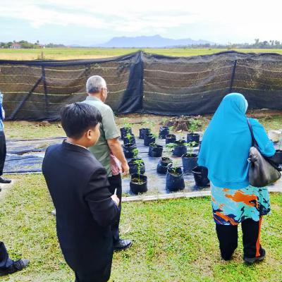 Penilaian Anugerah Sekolah Hijau 2024 Smk Dato Haji Hassan Noh 4