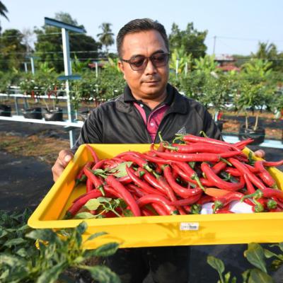 Pusat Pendidikan Hijau Edugreen Center Mbsp 4