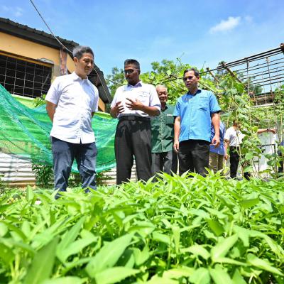 PROGRAM PROMOSI PERTANIAN BANDAR SEMULAJADI